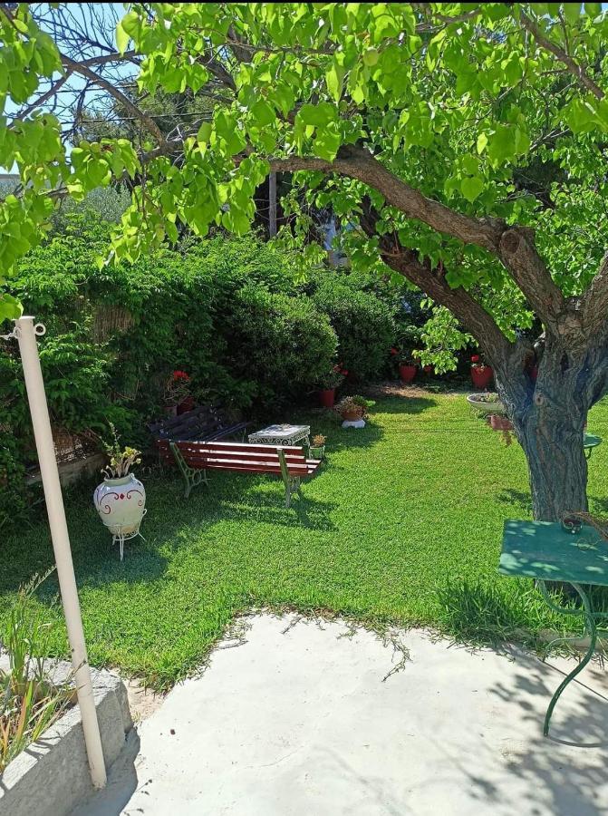 Finikas Rooms Agia Marina  Dış mekan fotoğraf