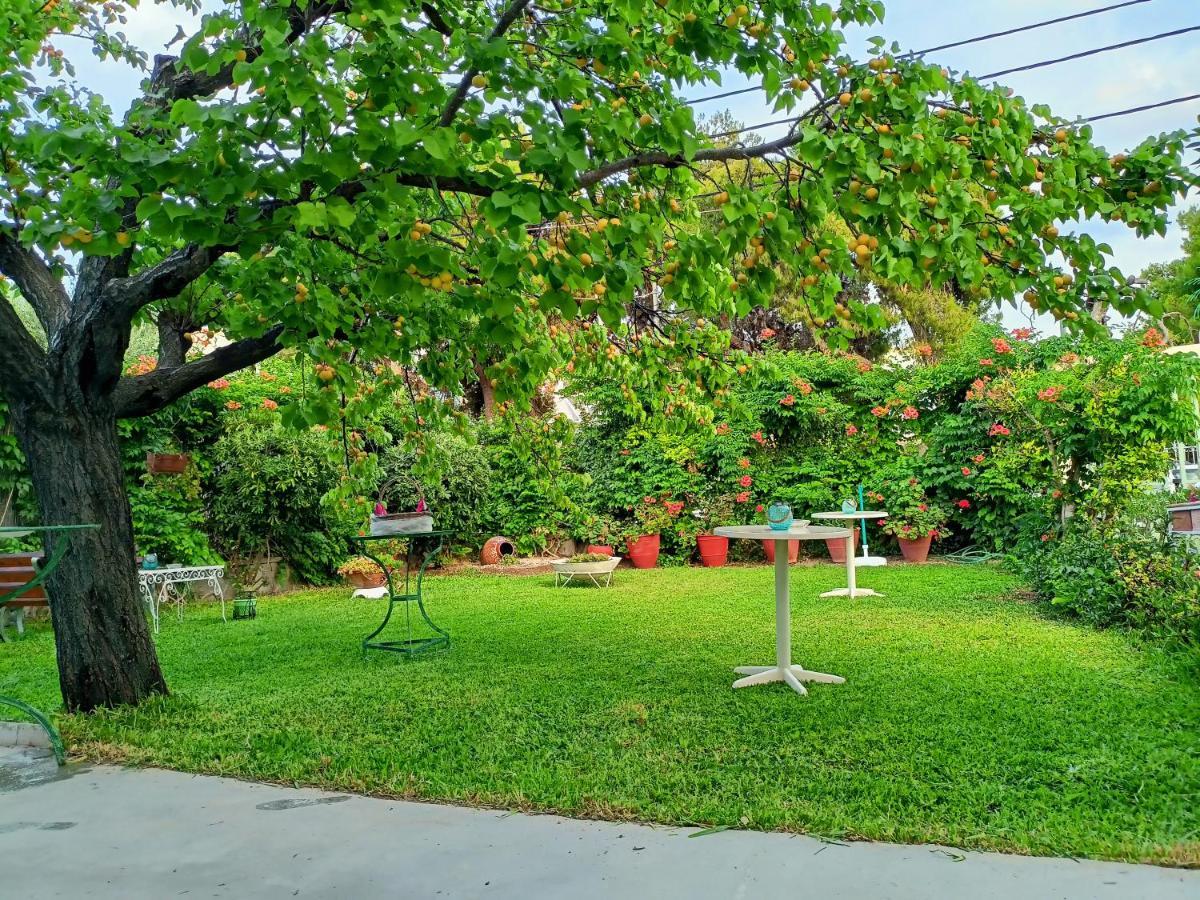 Finikas Rooms Agia Marina  Dış mekan fotoğraf