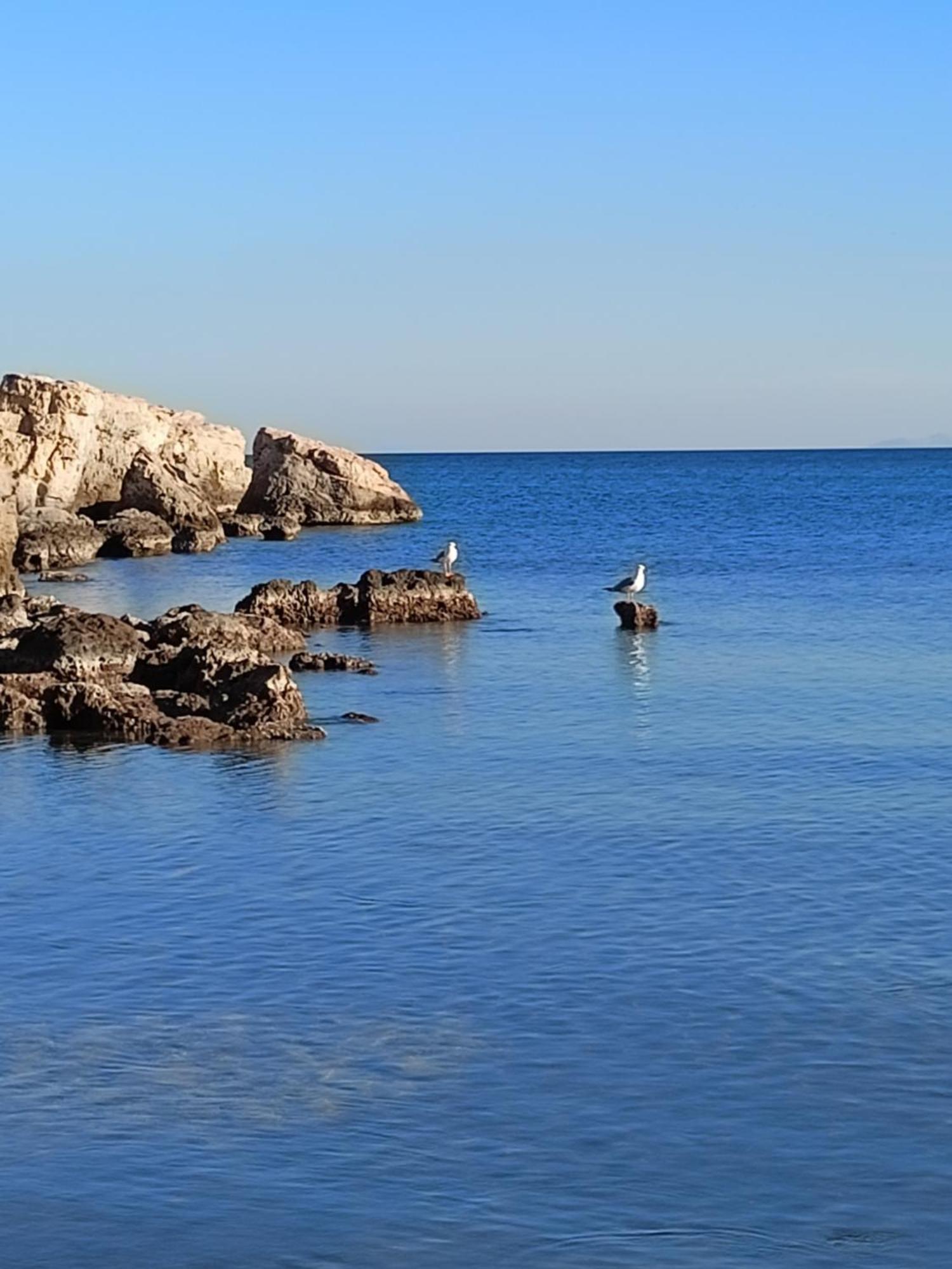 Finikas Rooms Agia Marina  Dış mekan fotoğraf