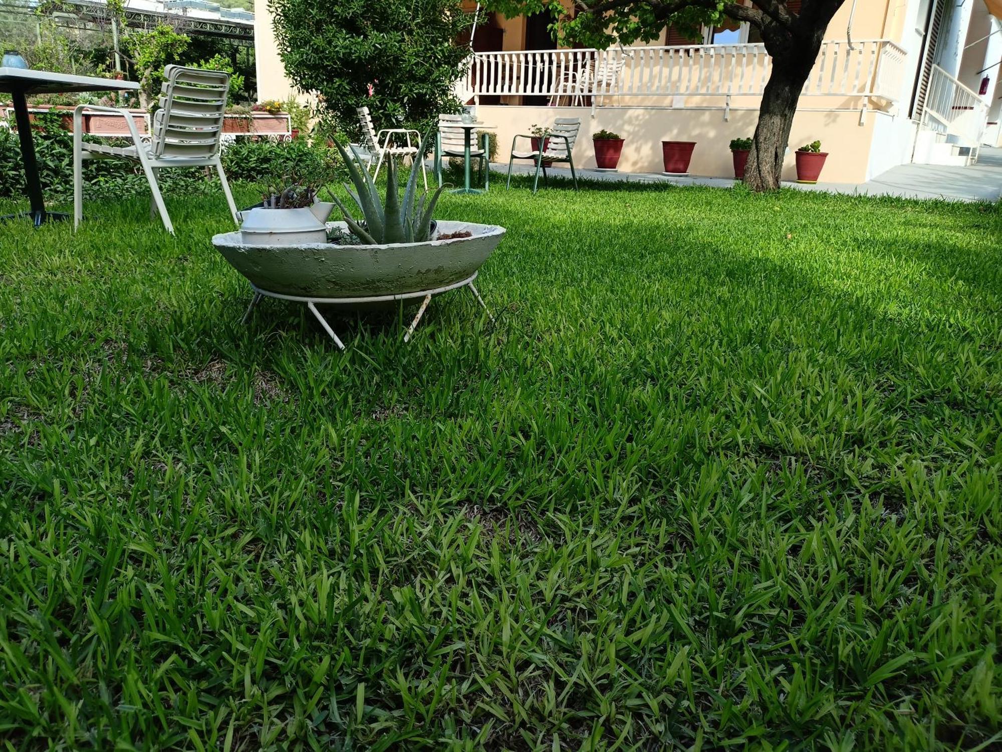 Finikas Rooms Agia Marina  Dış mekan fotoğraf