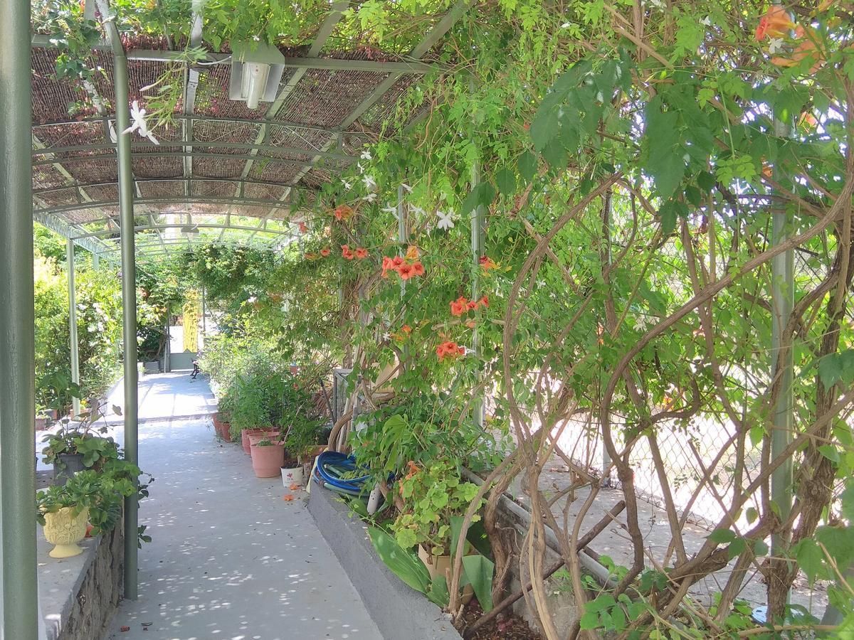Finikas Rooms Agia Marina  Dış mekan fotoğraf